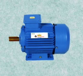 Industrial Motor